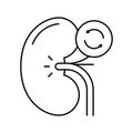 kidney transplant line icon vector illustration