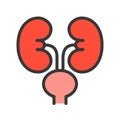 Kidney and urinary bladder, simple filled outline icon