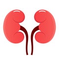 Kidney vector icon Royalty Free Stock Photo