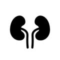 Kidney vector icon