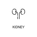 Kidneyflat icon or logo for web design.