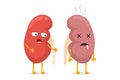 Kidneys characters healthy and unhealthy comparison. Human kidney good and bad condition. Cartoon genitourinary system
