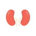 Kidneys color icon. People kidneys shape in flat style vector illustration