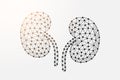 Kidneys 3d low poly symbol with connected dots. Urinary, human transplantation design vector illustration. Internal