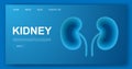 Kidneys 3d paper cut style website template. Urinary paper cut illustration. Internal organ symbol for landing page