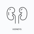 Kidneys flat line icon. Vector outline illustration of human organ. Black thin linear pictogram for urinary system