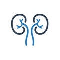 Kidneys Icon