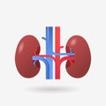 kidneys icon human internal organ anatomy healthcare medical concept renal system structure flat