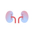 Kidneys icon human organ anatomy healthcare medical concept renal system white background