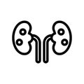 kidneys icon illustration vector graphic