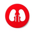 Kidneys icon