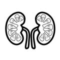 Kidneys Icon. kidney care. Human Organ Kidney Icon