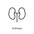 Kidneys icon. Trendy modern flat linear vector Kidneys icon on w