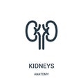 kidneys icon vector from anatomy collection. Thin line kidneys outline icon vector illustration. Linear symbol for use on web and