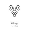 kidneys icon vector from human body collection. Thin line kidneys outline icon vector illustration. Linear symbol for use on web