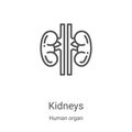 kidneys icon vector from human organ collection. Thin line kidneys outline icon vector illustration. Linear symbol for use on web