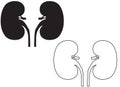 kidneys icon on white background. kidneys line sign. Urology logo. flat style