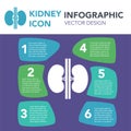 Kidneys organ illustration infographic icon simple vector concept