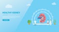 Kidneys or kidney healthcare concept for website template banner design - vector Royalty Free Stock Photo