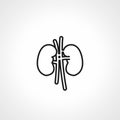 kidneys line icon. kidney icon