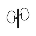 Kidneys linear icon, isolated pictogram human internal organ