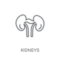 Kidneys linear icon. Modern outline Kidneys logo concept on whit