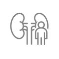 Kidneys with man line icon. Human organ for filtering blood symbol