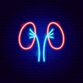 Kidneys Neon Sign