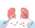 Kidneys operation puzzle Royalty Free Stock Photo