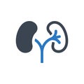 Kidneys organ icon