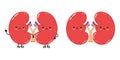 Kidneys organ waving hand character. Vector hand drawn cartoon kawaii character illustration icon. Isolated on white