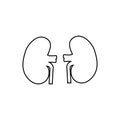 The kidneys outline icon. Symbol, logo illustration for mobile concept and web design.