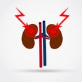 Kidneys pain icon