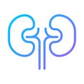 Kidneys pixel perfect gradient linear vector icon