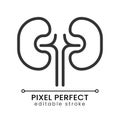 Kidneys pixel perfect linear icon