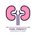 Kidneys pixel perfect RGB color icon