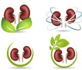 Kidneys protection symbol collection