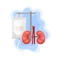 Kidneys and Saline Drip for Hospital Cure Vector Composition