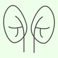 Kidneys thin line icon. Pair of human kidney organ outline style pictogram on white background. Anatomy and organs signs