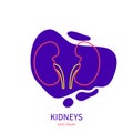 Kidneys urinary system body organ outline icon