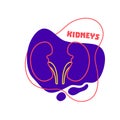 Kidneys urinary system body organ outline icon