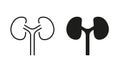 Kidneys Urology Disease, Dialysis Medical Treatment Symbol Collection. Human Kidney Line and Silhouette Icon Set