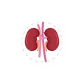 Kidneys clipart. Kidney isolated flat icon