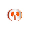 Kidneys vector icon.