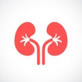 Kidneys vector icon