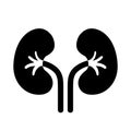 Kidneys vector pictogram