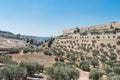 The Kidron Valley,on the eastern side of the Old City of Jerusalem, separating the Temple Mount from the Mount of Olives, with Royalty Free Stock Photo