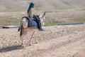 little bedouin child on white donkey in desert