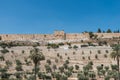 The Kidron Valley,  separating the Temple Mount from the Mount of Olives in Jerusalem, with Jewish graveyard and olive trees, and Royalty Free Stock Photo