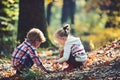 Kids activity and active rest. Children pick acorns from oak trees. Brother and sister camping in autumn forest. Little